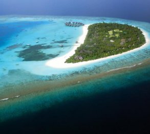 coco palm dhuni kolhu