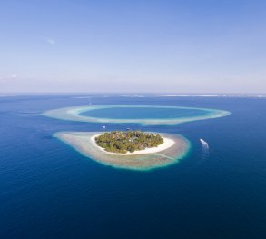 malahini kuda bandos