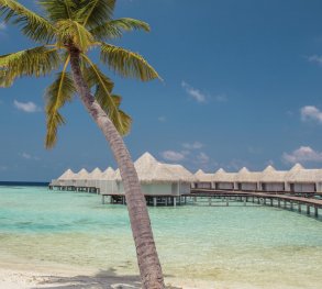 drift thelu veliga retreat