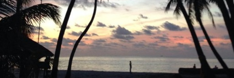 THE RISING STAR OF THE MALDIVES,