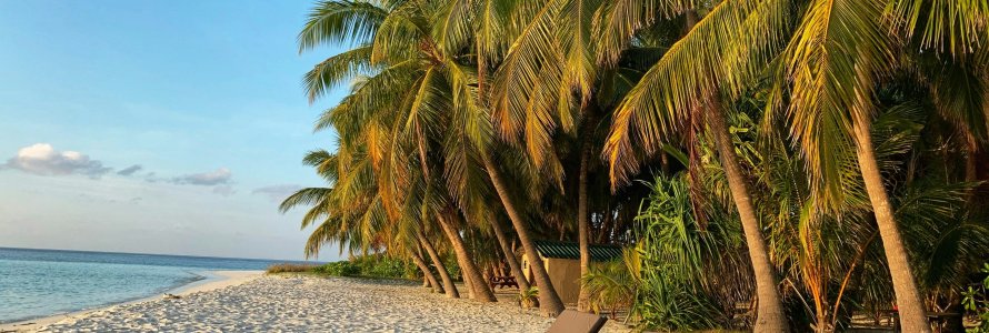 Dünya Turu Nasıl Yapılır?