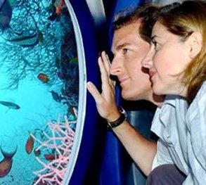 Maldives Underwater Tour