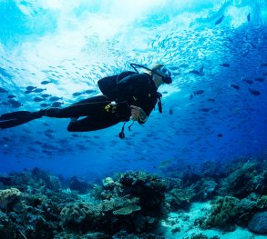 Maldives Diving Tour